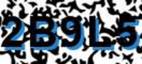 grafischer Sicherheitscode