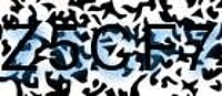 grafischer Sicherheitscode