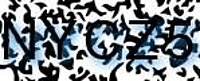 grafischer Sicherheitscode
