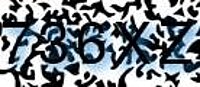 grafischer Sicherheitscode