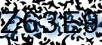 grafischer Sicherheitscode