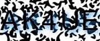 grafischer Sicherheitscode