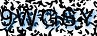 grafischer Sicherheitscode