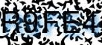 grafischer Sicherheitscode