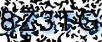 grafischer Sicherheitscode